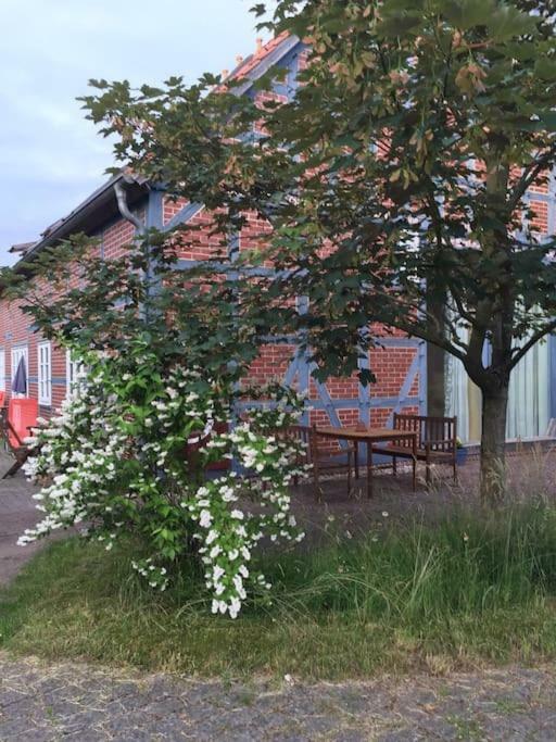 Entspannung in der schönen Lüneburger Heide Gohrde Exterior foto