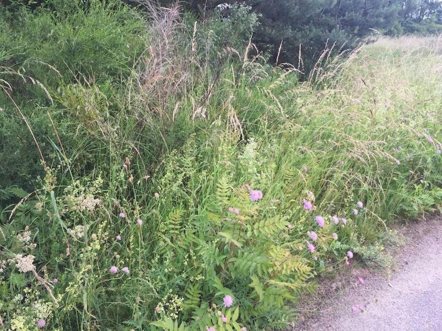 Entspannung in der schönen Lüneburger Heide Gohrde Exterior foto