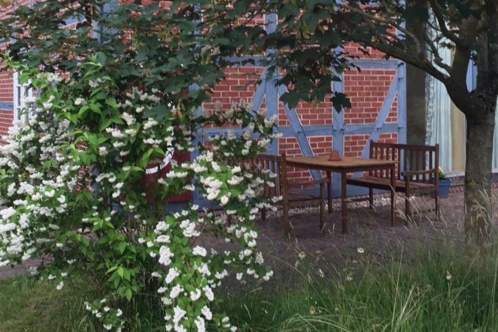 Entspannung in der schönen Lüneburger Heide Gohrde Exterior foto